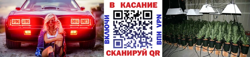 Какие есть наркотики Прокопьевск Кокаин  Бошки Шишки 