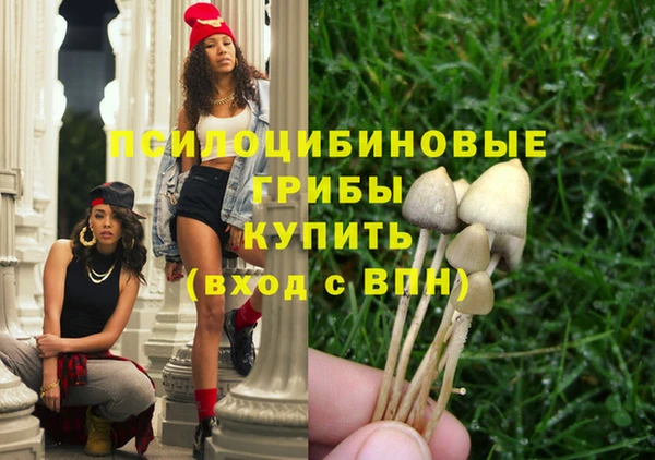 а пвп мука Абаза