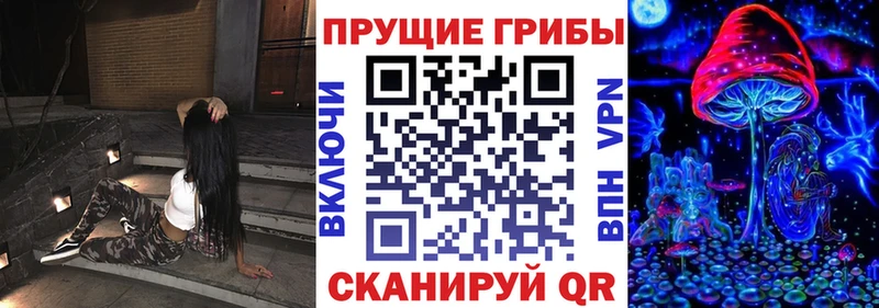 Галлюциногенные грибы Cubensis  купить наркотики сайты  Прокопьевск 